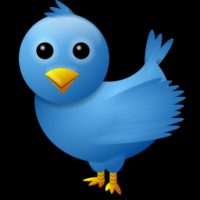 Auto add new Twitter followers from any user.
